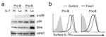 CD127 Antibody in Flow Cytometry (Flow)