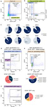 CD133 (Prominin-1) Antibody in Flow Cytometry (Flow)