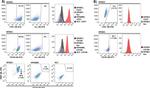 CD144 (VE-cadherin) Antibody in Flow Cytometry (Flow)