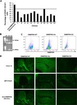 CD147 Antibody in Immunocytochemistry, Flow Cytometry (ICC/IF, Flow)