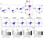 CD163 Antibody in Flow Cytometry (Flow)