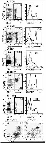 CD183 (CXCR3) Antibody in Flow Cytometry (Flow)