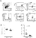 CD183 (CXCR3) Antibody in Flow Cytometry (Flow)