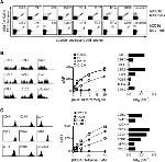 alpha GalCer:CD1d Complex Antibody in Flow Cytometry (Flow)