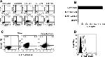 CD366 (TIM3) Antibody in Flow Cytometry (Flow)