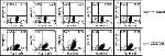 CD366 (TIM3) Antibody in Flow Cytometry (Flow)