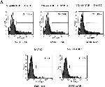 CD336 (NKp44) Antibody in Flow Cytometry (Flow)