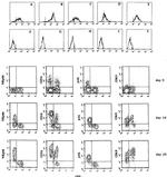 CD336 (NKp44) Antibody in Flow Cytometry (Flow)