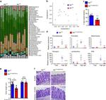 IgA Antibody in Flow Cytometry (Flow)