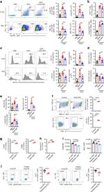 FOXP3 Antibody in Flow Cytometry (Flow)