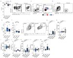 TCR alpha/beta Antibody in Flow Cytometry (Flow)