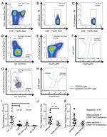 FOXP3 Antibody in Flow Cytometry (Flow)