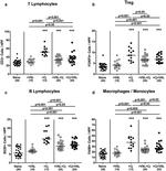 F4/80 Antibody in Immunohistochemistry, Immunohistochemistry (Paraffin) (IHC, IHC (P))