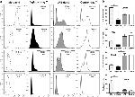 F4/80 Antibody in Flow Cytometry (Flow)