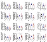 F4/80 Antibody in Flow Cytometry (Flow)