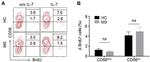 BrdU Antibody in Flow Cytometry (Flow)