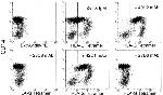 CD85d (ILT4) Antibody in Flow Cytometry (Flow)