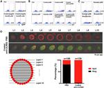 CD85d (ILT4) Antibody in Immunocytochemistry, Flow Cytometry (ICC/IF, Flow)