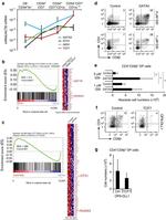 CD8b Antibody in Flow Cytometry (Flow)