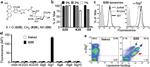 CD328 (Siglec7) Antibody in Flow Cytometry (Flow)