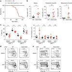 FOXP3 Antibody in Flow Cytometry (Flow)