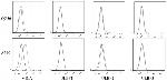 MICA/B Antibody in Flow Cytometry (Flow)