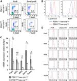 Aiolos Antibody in Flow Cytometry (Flow)