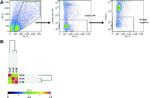 CD326 (EpCAM) Antibody in Flow Cytometry (Flow)