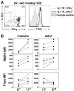 T-bet Antibody in Flow Cytometry (Flow)