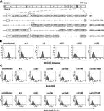 MULT1 (NKG2D Ligand) Antibody in Flow Cytometry (Flow)