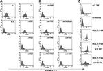 MULT1 (NKG2D Ligand) Antibody in Flow Cytometry (Flow)