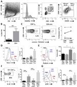 CD8a Antibody in Flow Cytometry (Flow)