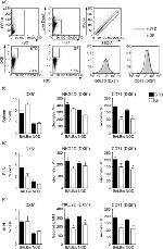 CD314 (NKG2D) Antibody in Flow Cytometry (Flow)