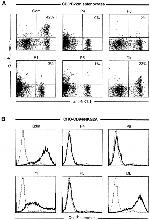 NKG2A/C/E Antibody in Flow Cytometry (Flow)