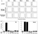 CD178 (Fas Ligand) Antibody in Flow Cytometry (Flow)