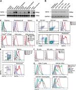 VISTA Antibody in Flow Cytometry (Flow)