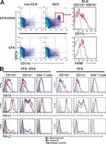 VISTA Antibody in Flow Cytometry (Flow)