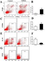 iNOS Antibody in Flow Cytometry (Flow)