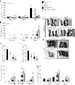 Ly-6A/E (Sca-1) Antibody in Flow Cytometry (Flow)