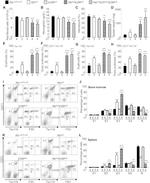 CD71 (Transferrin Receptor) Antibody in Flow Cytometry (Flow)