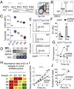 TER-119 Antibody in Flow Cytometry (Flow)