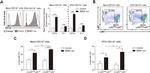 Ly-6G/Ly-6C Antibody in Flow Cytometry (Flow)