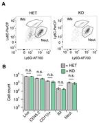 Ly-6C Antibody in Flow Cytometry (Flow)