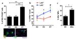 Ly-6C Antibody in Flow Cytometry (Flow)