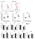 Ly-6C Antibody in Flow Cytometry (Flow)