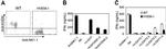 CD270 (HVEM) Antibody in Flow Cytometry (Flow)