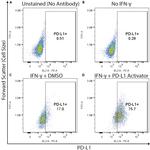 CD274 (PD-L1, B7-H1) Antibody in Flow Cytometry (Flow)