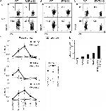 ROR gamma (t) Antibody in ChIP Assay (ChIP)