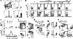 IL-1 alpha Antibody in Flow Cytometry (Flow)