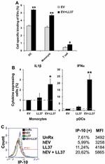 IL-1 beta Antibody in Flow Cytometry (Flow)